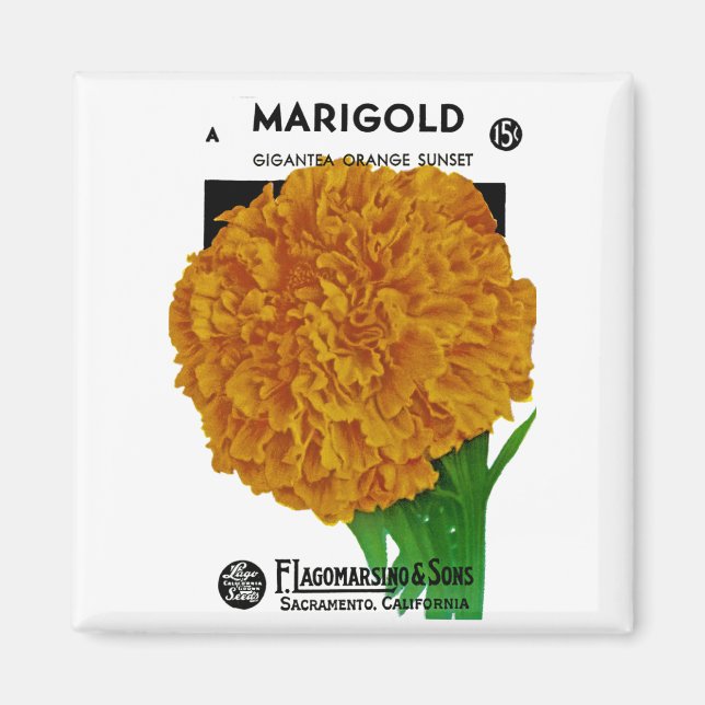 Íman Pacote de Semente da Marigold Vintage (Frente)