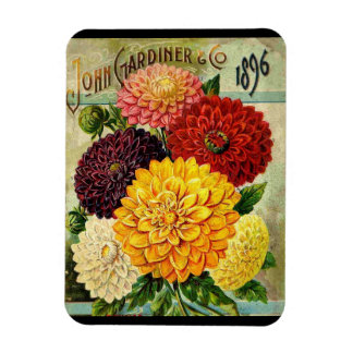 Íman Pacote de Sementes de Flores Antigas - ímã Flexíve