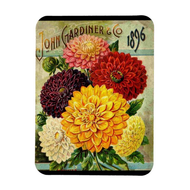 Íman Pacote de Sementes de Flores Antigas - ímã Flexíve (Vertical)
