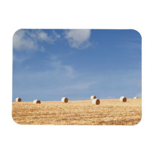Íman Pacotes de feno no campo