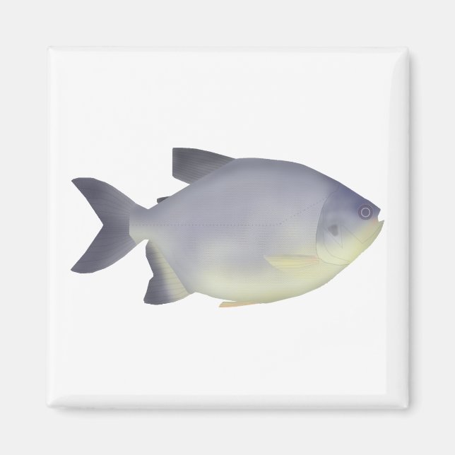 Íman Pacu caranha  (Frente)