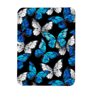 Íman Padrão contínuo escuro com borboletas azuis Morpho