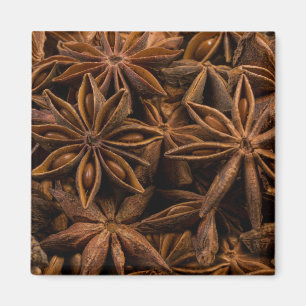 Íman Padrão de Anise Stars