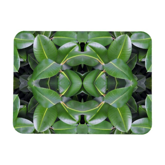 Íman Padrão de árvore de borracha (Horizontal)