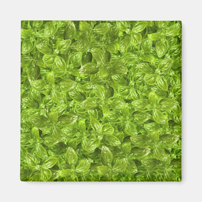 Íman Padrão de Folhas de Basil (Frente)