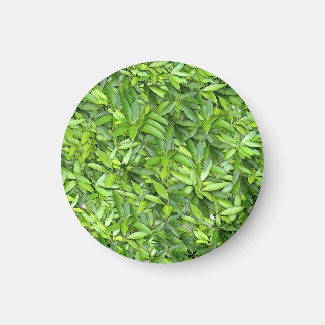 Íman Padrão de Folhas Verde Lush - Botânica da Natureza (Frente)