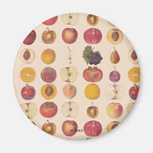 Íman Padrão de Fruta do Vintage
