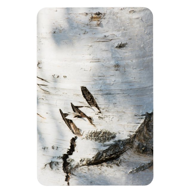 Íman Padrão de latido de aves (Vertical)