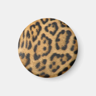 Íman Padrão de Manchas de Pelo de Leopardo
