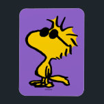 Íman Padrão de óculos solares Legal de madeira<br><div class="desc">Dê uma olhada neste design super fofo com Woodstock vestindo óculos de sol legal.</div>