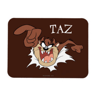 Íman Página de Interrupção de TAZ™