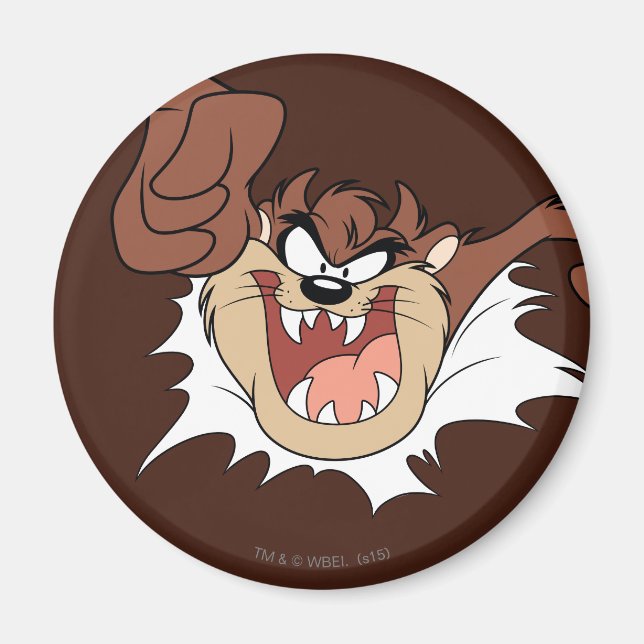 Íman Página de Interrupção de TAZ™ (Frente)