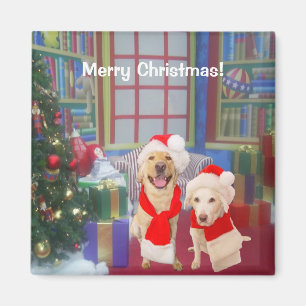 Íman Página inicial dos feriados