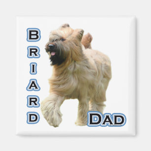 Íman Pai Briard 4 - Magnet