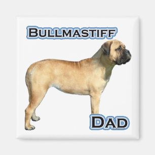 Íman Pai Bullmastiff 4 - Magnet