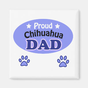 Íman Pai Chihuahua orgulhoso