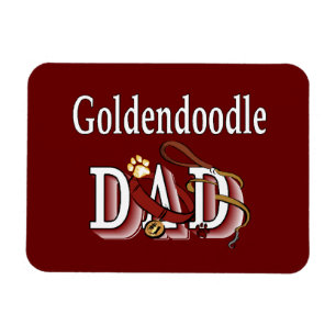 Íman Pai de Goldendoododle