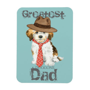 Íman Pai de Havanese