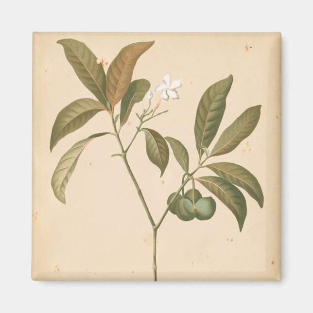 Íman Painel I do Deco do Cobalto (Frente)