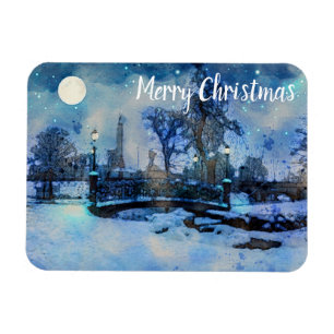 Íman Painting of winter night in city park