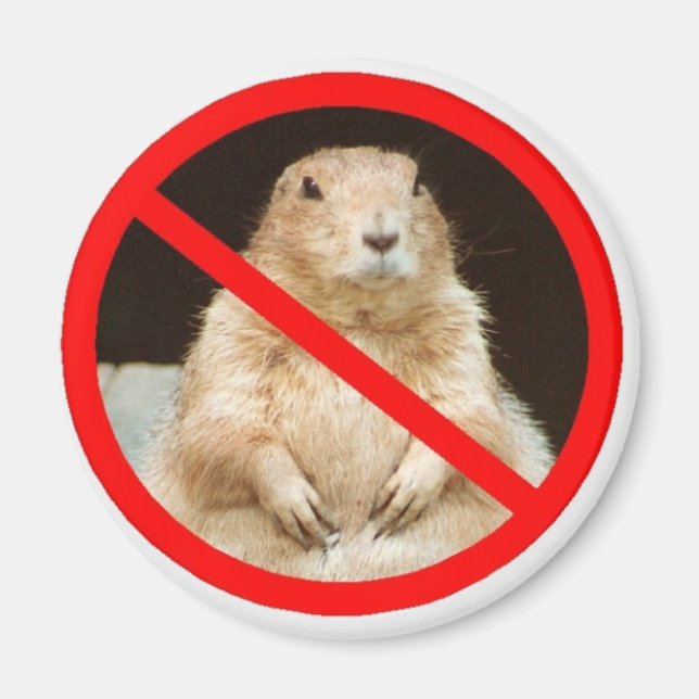 Íman pairiedoggin (Frente)