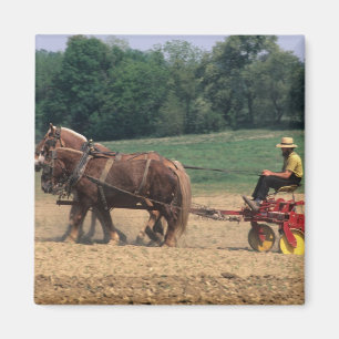 Íman País Amish pessoas simples na agricultura com