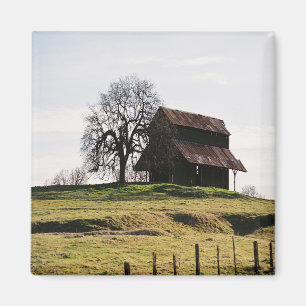 Íman País no outono......