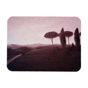 Íman Paisagem 1992 de Tuscan