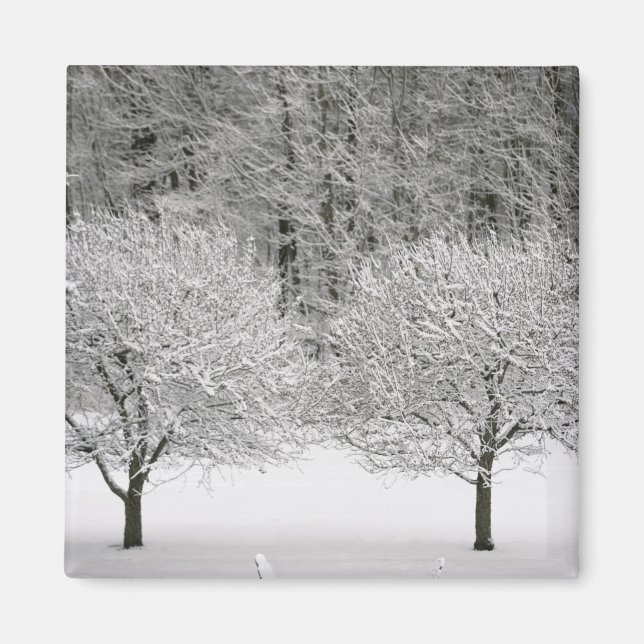 Íman Paisagem coberta por neve (Frente)