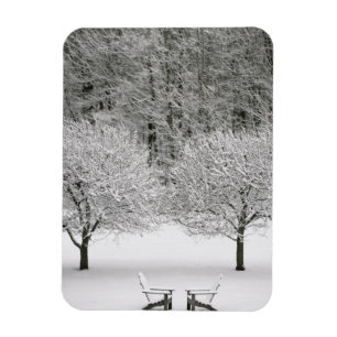 Íman Paisagem coberto de neve