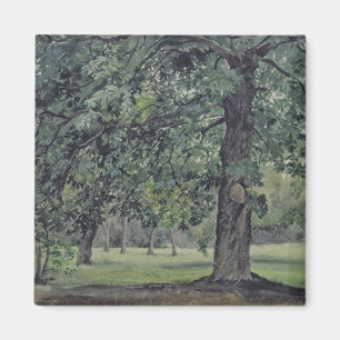 Íman Paisagem com a árvore de castanha no primeiro