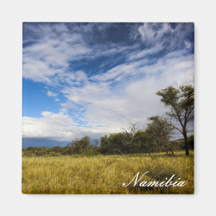 Íman Paisagem da África Namíbia Nature Bushveld