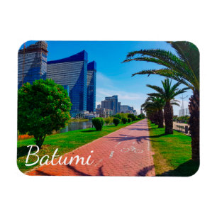 Íman Paisagem da Arquitetura do Batumi Georgia
