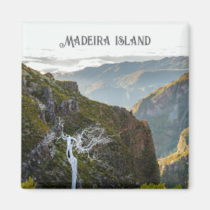 Íman paisagem da caminhada do Pico Ruivo, viagem à Made
