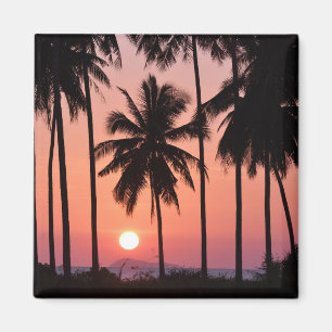 Íman Paisagem da palmeira do coco