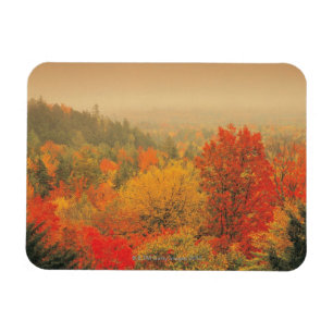 Íman Paisagem da queda, New Hampshire, EUA