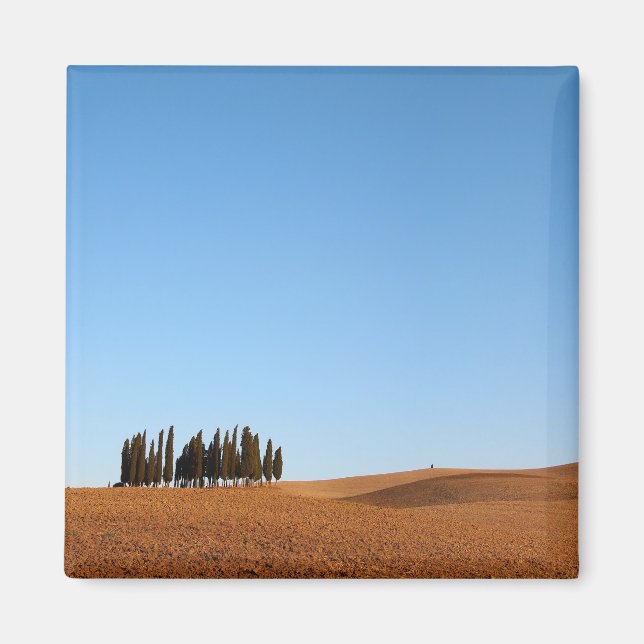 Íman Paisagem da Toscana quadrada com ímã de árvores ci (Frente)