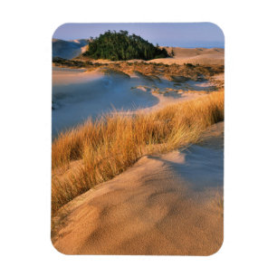 Íman Paisagem das Dunas de Areia de Oregon