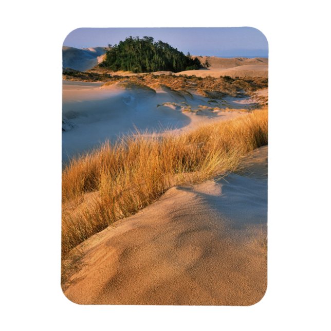 Íman Paisagem das Dunas de Areia de Oregon (Vertical)