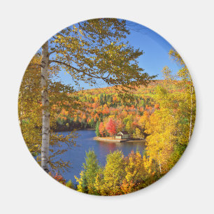 Íman Paisagem de árvore de outono, Maine