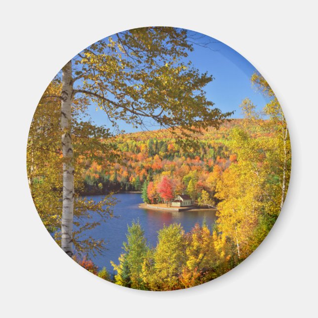 Íman Paisagem de árvore de outono, Maine (Frente)