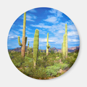 Íman Paisagem de cacto do deserto, Arizona