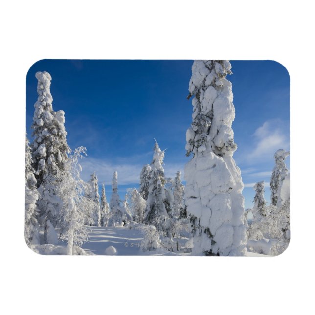 Íman Paisagem de inverno em Lappland (Horizontal)