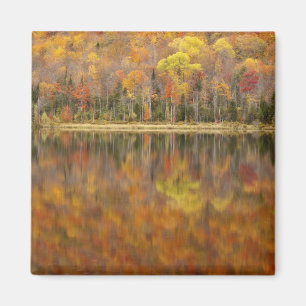 Íman Paisagem de outono com lago, Vermont, EUA