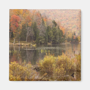 Íman Paisagem de outono com lago, Vermont, EUA 3