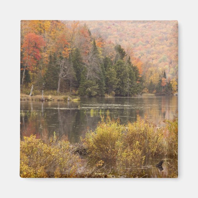 Íman Paisagem de outono com lago, Vermont, EUA 3 (Frente)