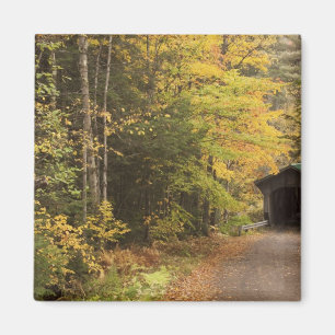 Íman paisagem de outono, Vermont, EUA 4