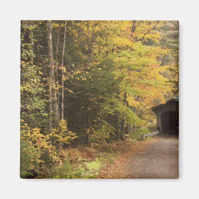 Íman paisagem de outono, Vermont, EUA 4 (Frente)