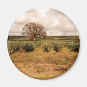 Íman Paisagem de Senegal