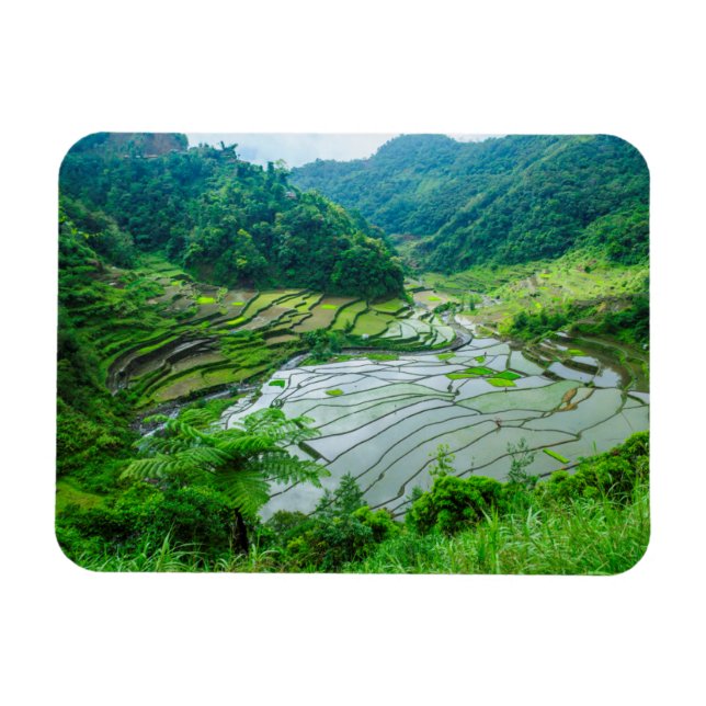 Íman Paisagem de terraço de arroz, Filipinas (Horizontal)